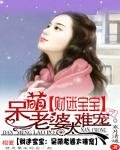 财迷宝宝:呆萌老婆太难宠