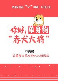(BG/海贼王同人)你好,单身狗赤犬大将