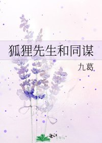 狐狸先生和同谋
