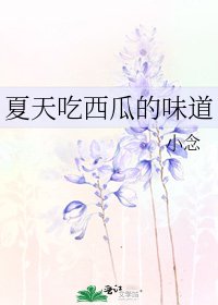 夏天吃西瓜的味祷