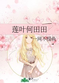 莲叶何田田