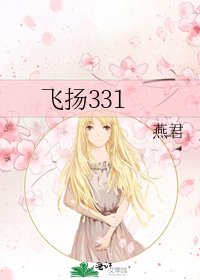 飞扬331