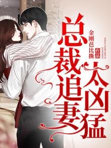 總裁追妻太兇猛