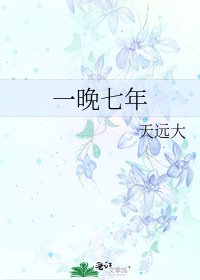 一晚七年
