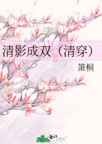 清影成雙(清穿)