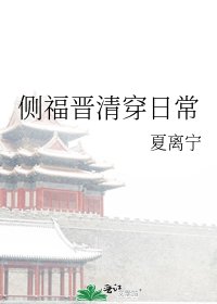 側福晉清穿日常