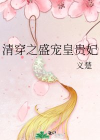 清穿之盛寵皇貴妃