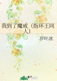 我到了魔戒(指环王同人)