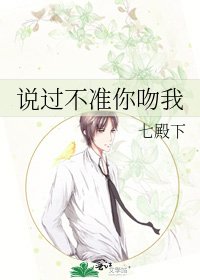 说过不准你吻我