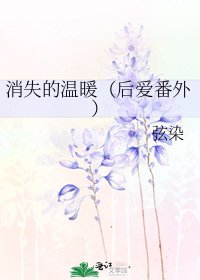 消失的温暖(后爱番外)