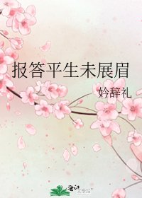 报答平生未展眉