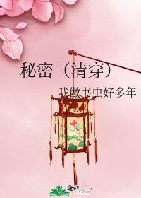 秘密(清穿)