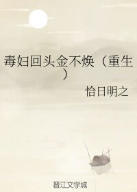 毒妇回头金不焕(重生)