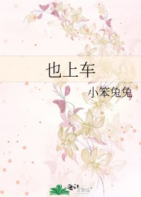 也上车