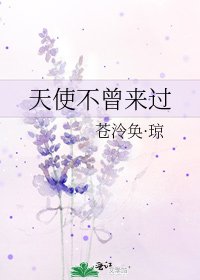 天使不曾来过