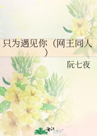 只為遇見你(網王同人)