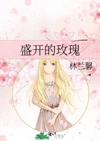 盛開的玫瑰