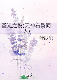 聖光之役(天神右翼同人)