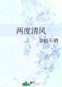 两度清风