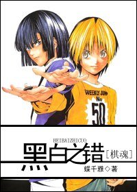 (棋魂同人)黑白之错