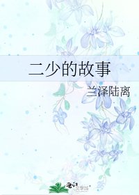 二少的故事