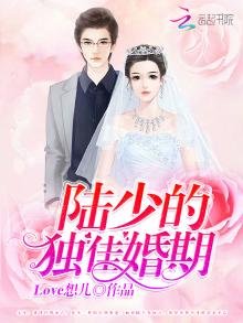 陆少的独佳婚期