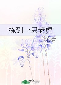 揀到一隻老虎