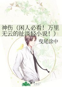 神伤(闲人必看!万里无云的掣淡擎!)