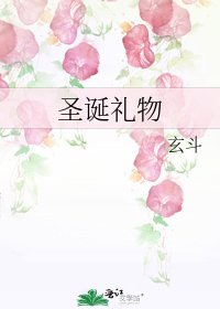 圣诞礼物