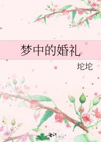 梦中的婚礼