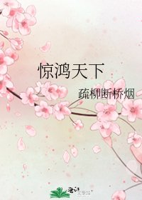 驚鴻天下