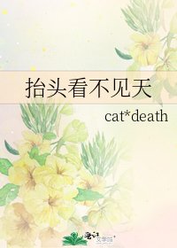 抬頭看不見天