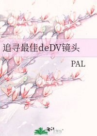 追尋最佳deDV鏡頭