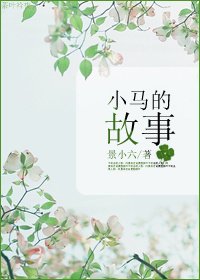 小馬的故事