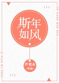 斯年如风
