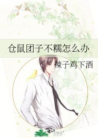仓鼠团子不糯怎么办