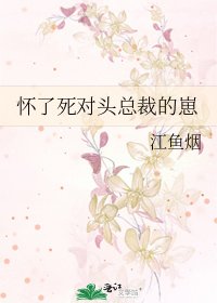 怀了斯对头总裁的崽