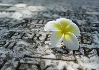 请柬