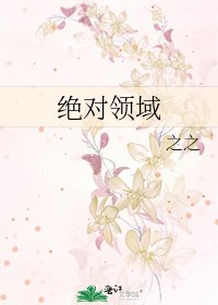 絕對領域