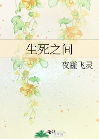 生死之间