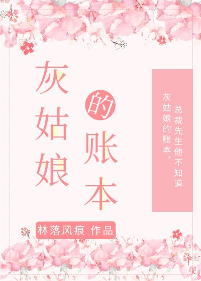 灰姑娘的账本