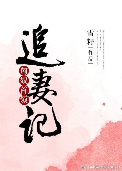 匈奴首领追妻记