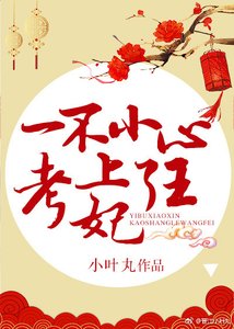 一不小心考上了王妃