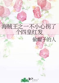 (海贼同人)海贼王之一不小心拐了个四皇红发