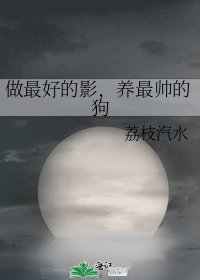 做最好的影,养最帅的狗