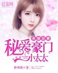夜撩甜妻:秘爱豪门小太太/秘爱豪门小太太