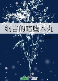 綱吉的暗墮本丸