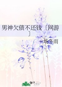 男神欠债不还钱〔网游〕
