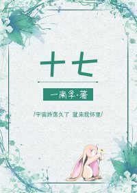 十七