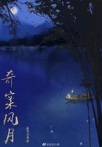 奇案風月